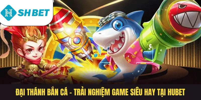 Banner www.quytruonghai.com