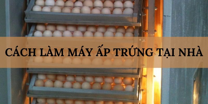 Banner www.quytruonghai.com