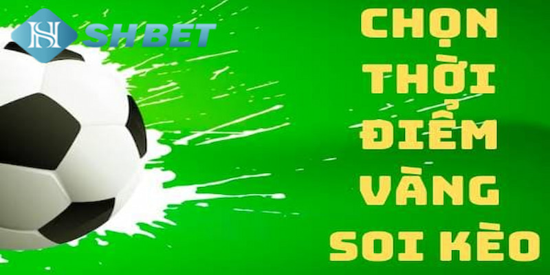 Banner www.quytruonghai.com