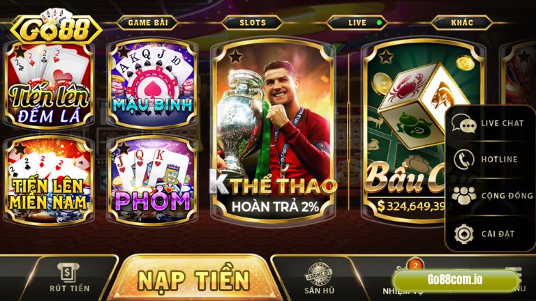 Banner www.quytruonghai.com