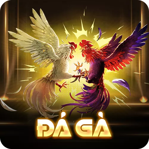 Banner www.quytruonghai.com