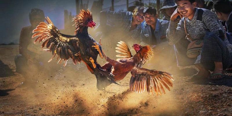 Banner www.quytruonghai.com