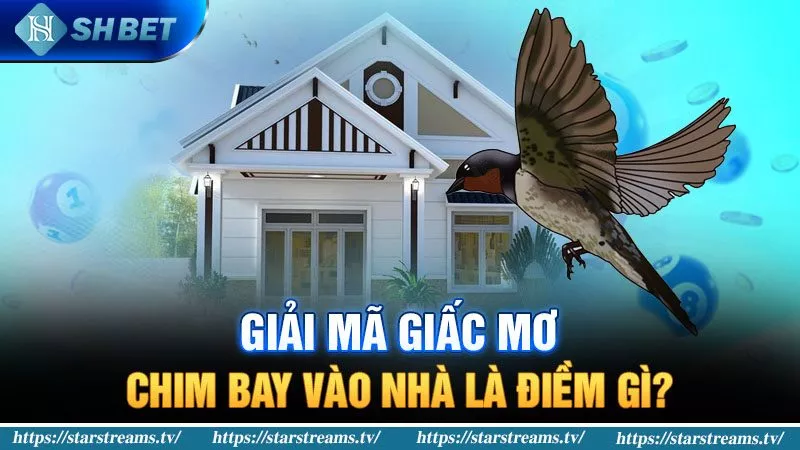 Banner www.quytruonghai.com