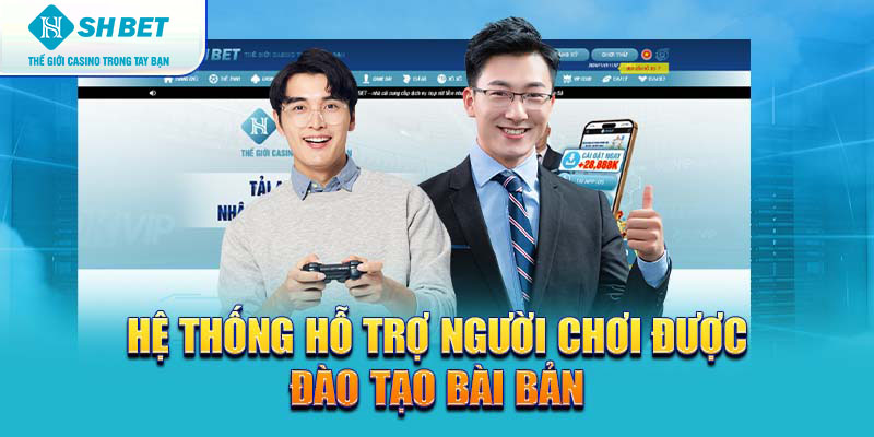 Banner www.quytruonghai.com