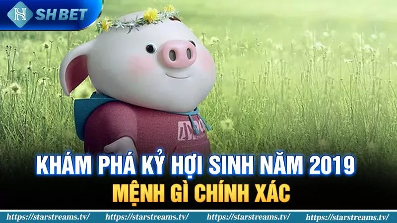 Banner www.quytruonghai.com