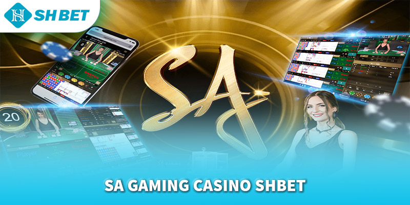 Banner www.quytruonghai.com