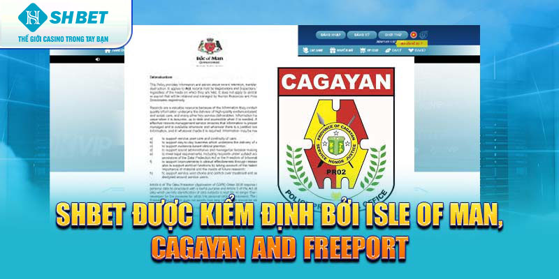 Banner www.quytruonghai.com