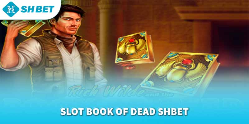 Banner www.quytruonghai.com