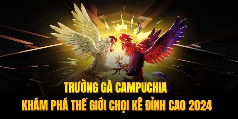 Banner www.quytruonghai.com