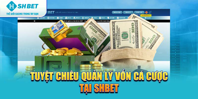 Banner www.quytruonghai.com